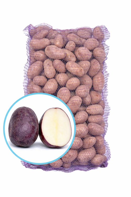 Семенной картофель Черный принц