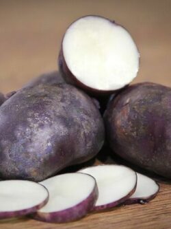 Насіннєва картопля Чорний принц