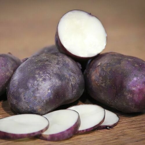 Насіннєва картопля Чорний принц