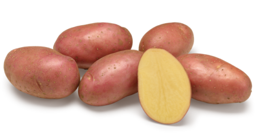 Семенной картофель Эсми