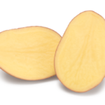 Семенной картофель Эсми