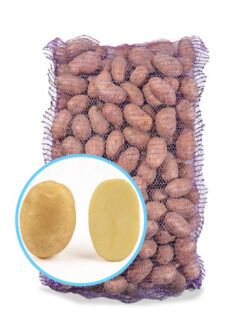 Семенной картофель Джелли