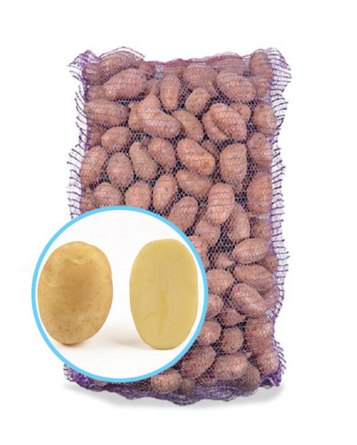 Семенной картофель Джелли