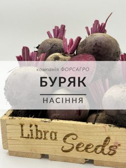 Буряк