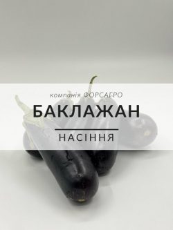 Баклажан