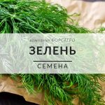 Зелень
