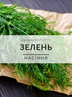Зелень