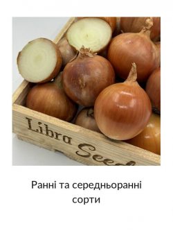 Ранні та середньоранні