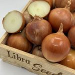 Семена лука репчатого 005 F1, Италия