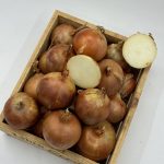 Семена лука репчатого 005 F1, Италия