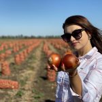Семена лука репчатого Эйфория F1, Италия