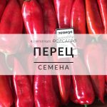Перец
