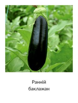 Ранній