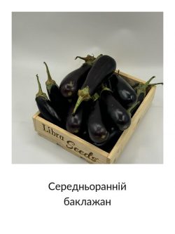 Середньоранній