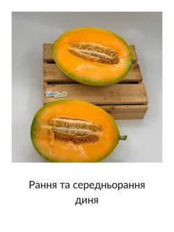 Рання та середньорання