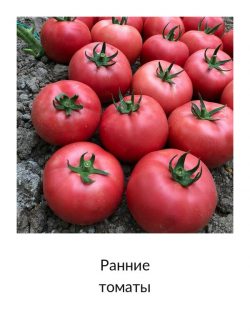 Ранние