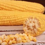 Насіння кукурудзи цукрової Канзас F1, США