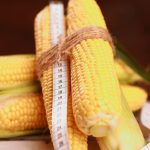 Насіння кукурудзи цукрової Канзас F1, США