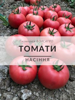 Томати
