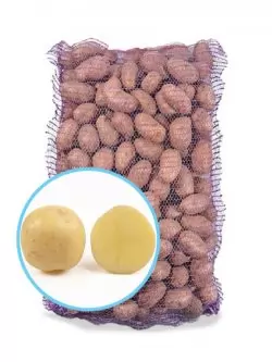 Насіннєва картопля Електра