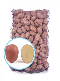 Насіннєва картопля КРІСТІНА