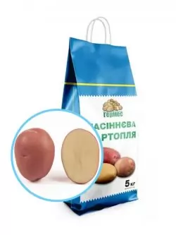 Насіннєва картопля КРІСТІНА 5кг