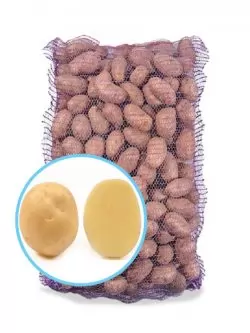 Насіннєва картопля ОРЛА