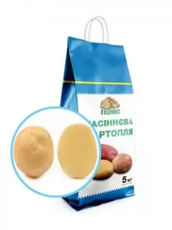 Насіннєва картопля ОРЛА