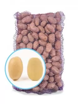 Насіннєва картопля Нектар