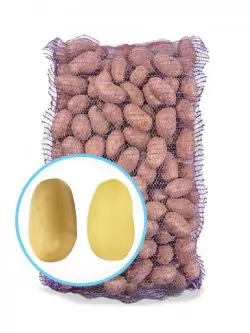 Насіннєва картопля Королева Анна