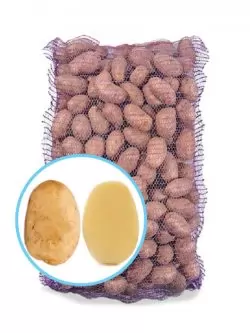 Насіннєву картоплю Сенсація (Сенсейшен)