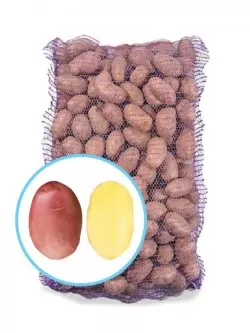 Семенной картофель Фламенко