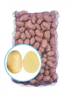 Семенной картофель Парадизо