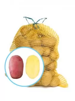 Семенной картофель Рудольф сетка 5кг