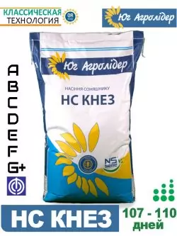 подсолнечник НС КНЕЗ