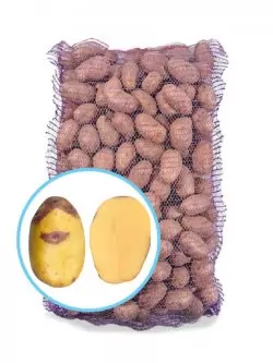 Семенной картофель Улыбка Blue Belle