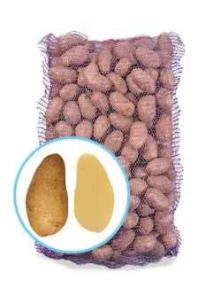 Семенной картофель Тирас