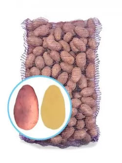 Семенной картофель Славянка