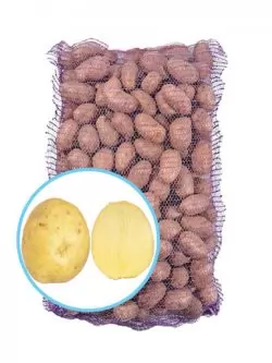 Семенной картофель Сорая