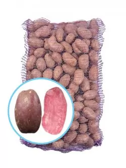 Семенной картофель Хортица