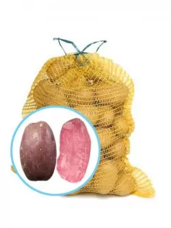 Семенной картофель Хортица 5кг