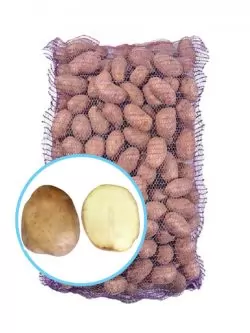 Семенной картофель Щедрик