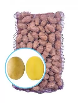 Семенной картофель Бельмонда