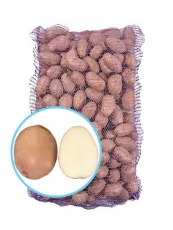 Семенной картофель Фотиния