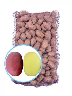 Семенной картофель Балтик Роуз