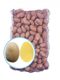 Семенной картофель Эстрелла