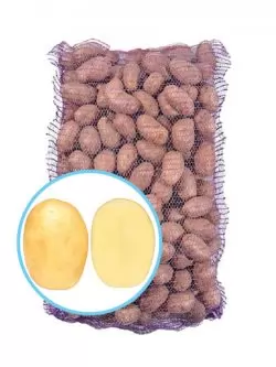 Семенной картофель Командо