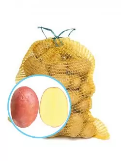 Семенной картофель Лаура 5кг