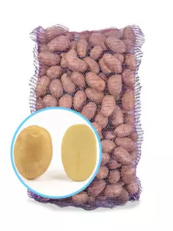 Семенной картофель Джелли