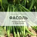 Фасоль
